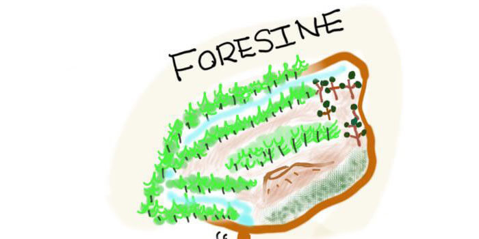 map-forestine